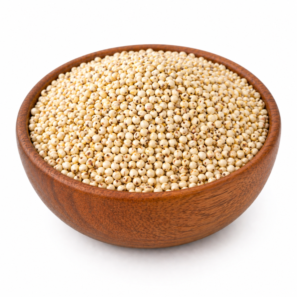 sorghum